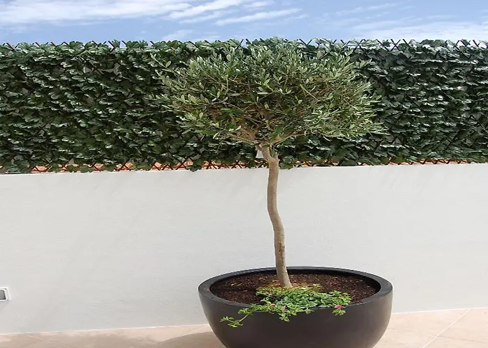 Apartament Mare