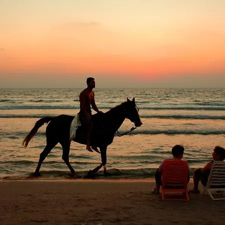 Mare Apartamento Nazaré